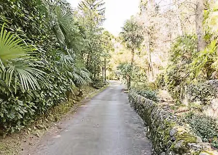 Signorile A * بيلجيراتي